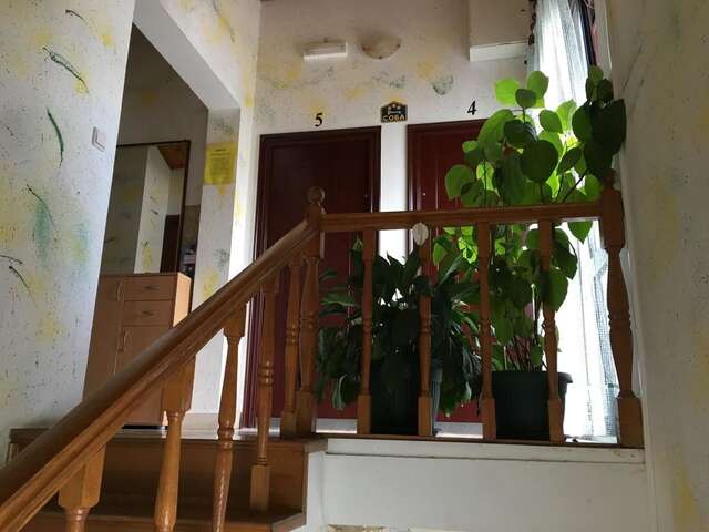 Апартаменты Apartments Upitnik Херцег-Нови-19